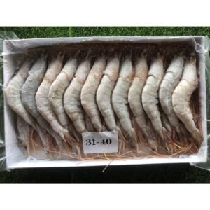 WHITE PRAWN 31/40 AA