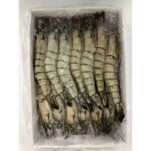 TIGER PRAWN 13/15