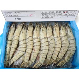 TIGER PRAWN 16/20