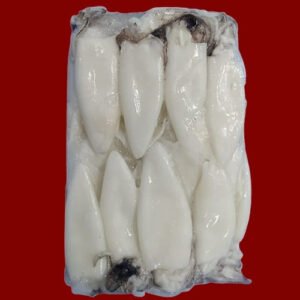 WHOLE CLEANED SQUID